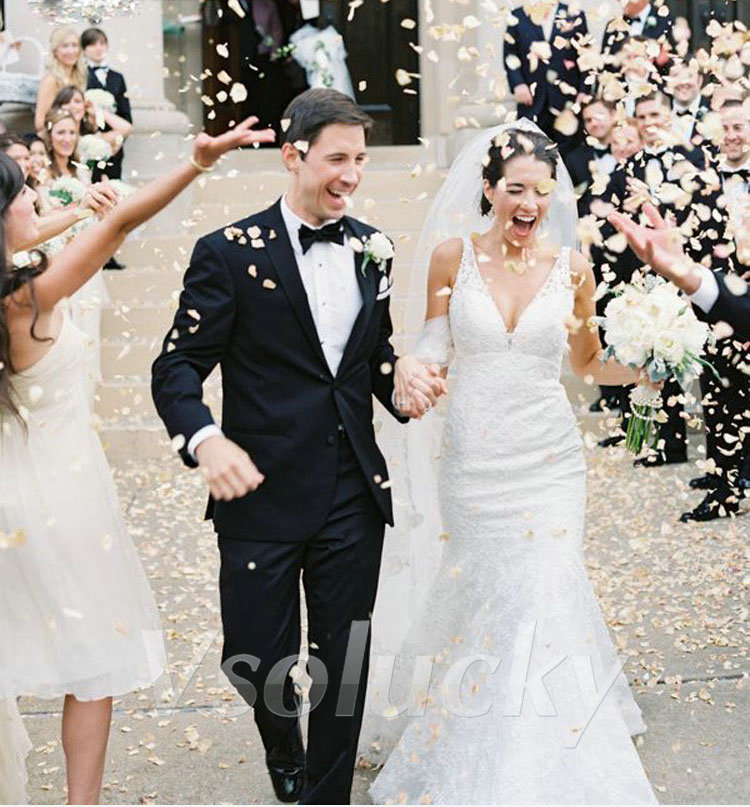 100 Cái/gói Lụa Cánh Hoa Hồng  - đánh giá và giá Supply Wedding Venue